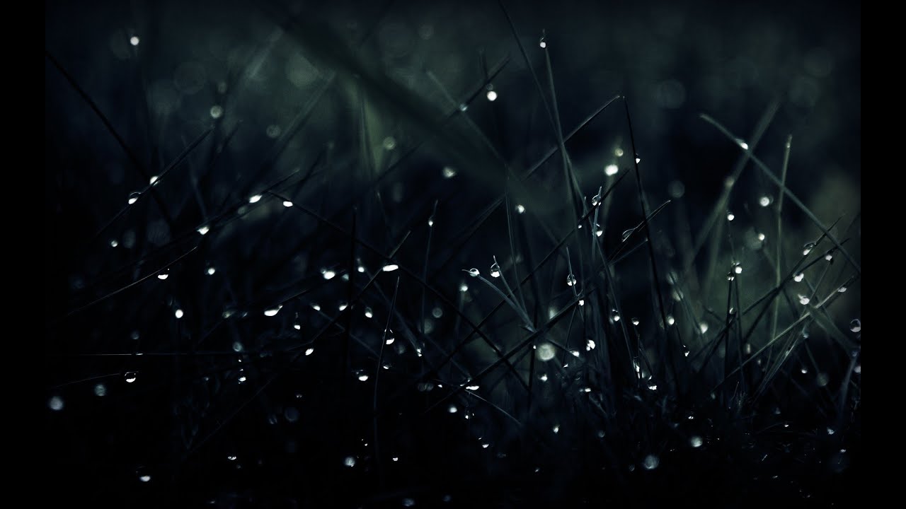Prativishwa project video thumbnail