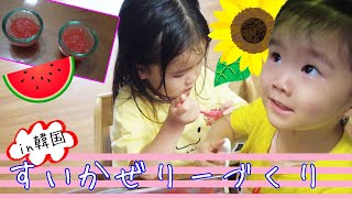 ［한일가족/日韓家族］夏のスイカゼリーづくり