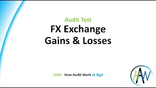 6.42 Audit Test - FX Exchange Gains & Losses - Preview