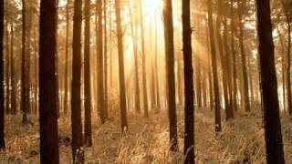 Boom Boom Satellites - For a Moment of Silence (Joyride)
