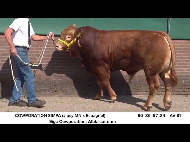 Cowporation Simpa Video