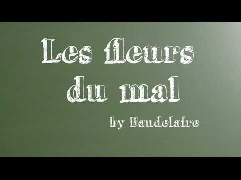 Baudelaire - Les fleurs du mal - Livre audio intégral