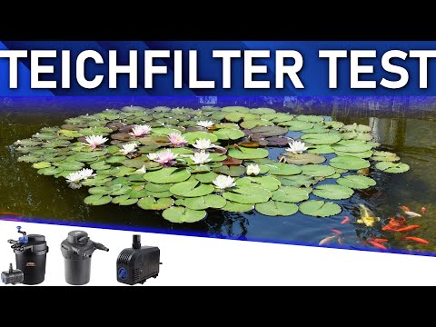➤ Teichfilter Test 2025 | Die besten 3 Teichfilter