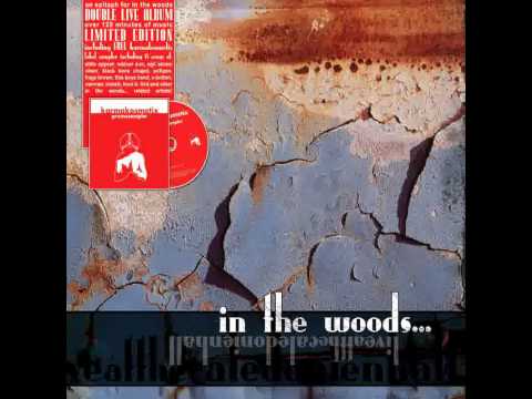 In The Woods... - Omnio (pre) [live]