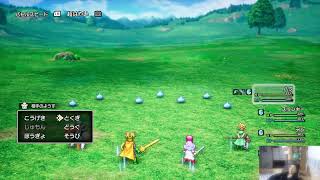 【いばらの道】悲しみのドラクエ【ドラゴンクエストI＆II】
