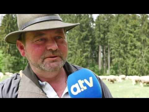 Albschäferweg - vom Meteorkrater ins Brenztal im Landkreis Heidenheim