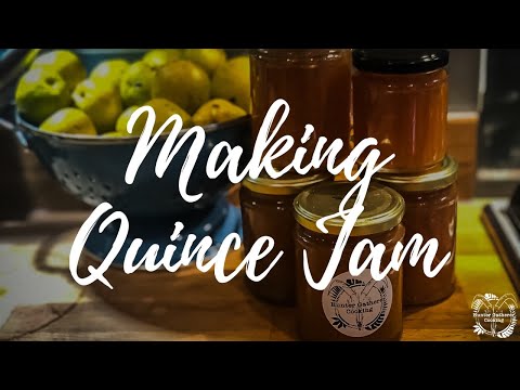 How to make home made Quince Jam - Hunter Gatherer Cooking HGC
