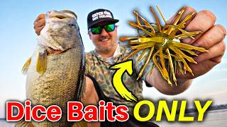 I Fished ONLY Dice Baits for an Entire Day...SHOCKING Results!
