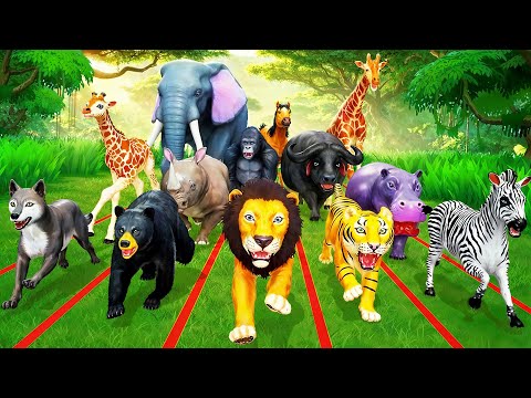 Epic Animal Race 🏁 | Wild vs Barn Animals – Who Wins the Challenge?
