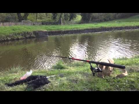 Float fishing on the canal