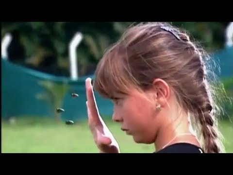 Tati vs Taveira e Dino | caminhos do coração