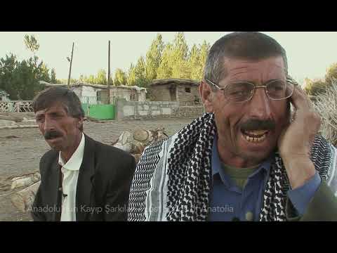 Delicate Partridge / Pity (Lost Songs of Anatolia)