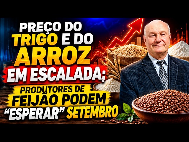 Preço do trigo e do arroz em escalada; produtores de feijão podem “esperar” setembro.