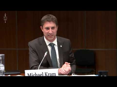 Boeing 737 MAX 8 at the Transport Committee