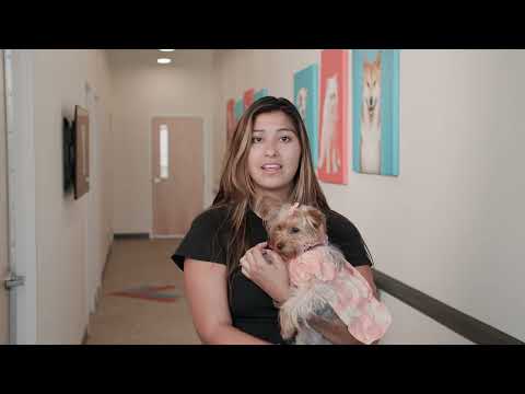 Lumersive Studios video.