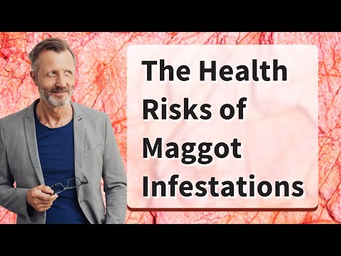 The Health Risks of Maggot Infestations
