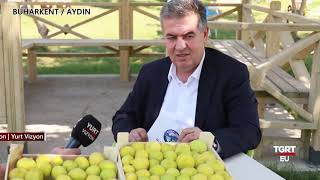 BUHARKENT BELEDİYESİ-TGRT YURTVİZYON #Haber#Gündem#sondakika