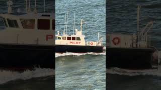 Pilot boat retrieving Texas City pilot from Regal Princess near Galveston