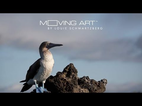 "Teleport to Galapagos" 360 Video