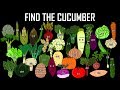 Find The Vegetables The Kids Picture Show Fun Educational Learning Video