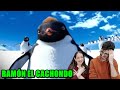 ESPAÑOLES REACCIONAN A DOBLAJE LATINO DE RAMÓN HAPPY FEET