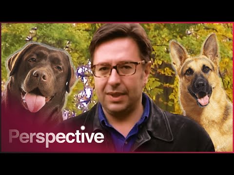Waldemar Meets The World's Biggest Dog And Journeys Into Canine History | Puppy Love