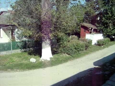 Railway Station in Homorâciu, Prahova County