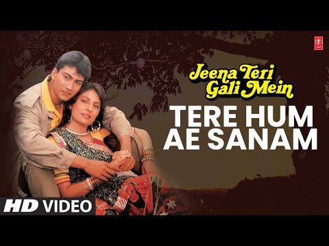 Tere Hum Ae Sanam — watch video