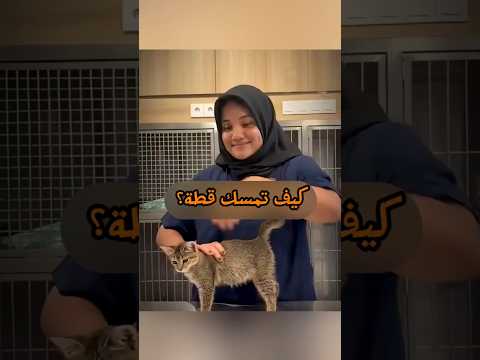 توقف! أنت تؤذي قطتك بهذه الطريقة 🙀🛑