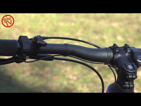 Test Hoheacht Besta Roko