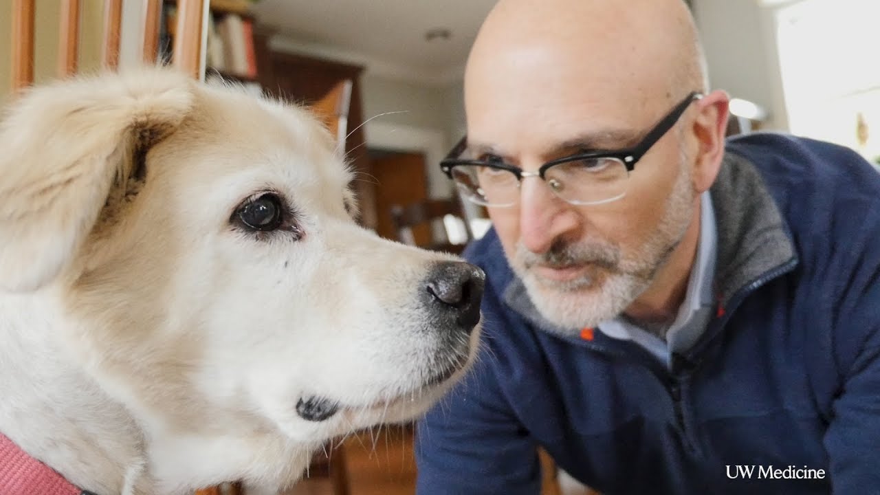 Our four-legged friends may offer answers for aging