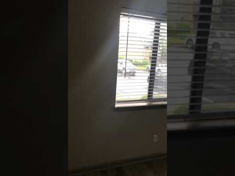 Lory of Louisville - Video 3 of 3