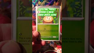 Perfecting Perfect Order is Back! - Binder Update Soon! #perfectorder #pokemon #masterset #collectr