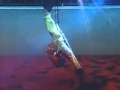 Katrina Asfardi Oriental Aerial Lyra