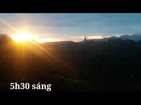 Hoa giấy ngũ sắc, hoa giấy năm màu thái lan quá đẹp/ thanh huyến vlog