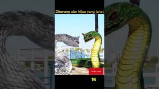 Download lagu siluman ular hijau ngamuk #narasifilm #shorts #shortvideo #viral mp3