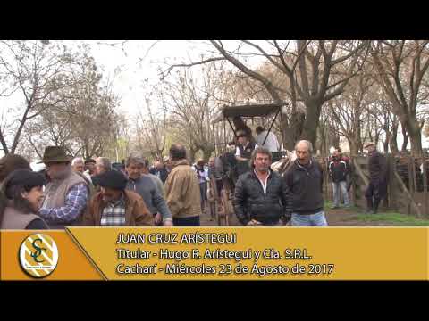 23-08-17 Nota a Juan Cruz Aristegui -   Hugo R.  Aristegui  -Cacharí