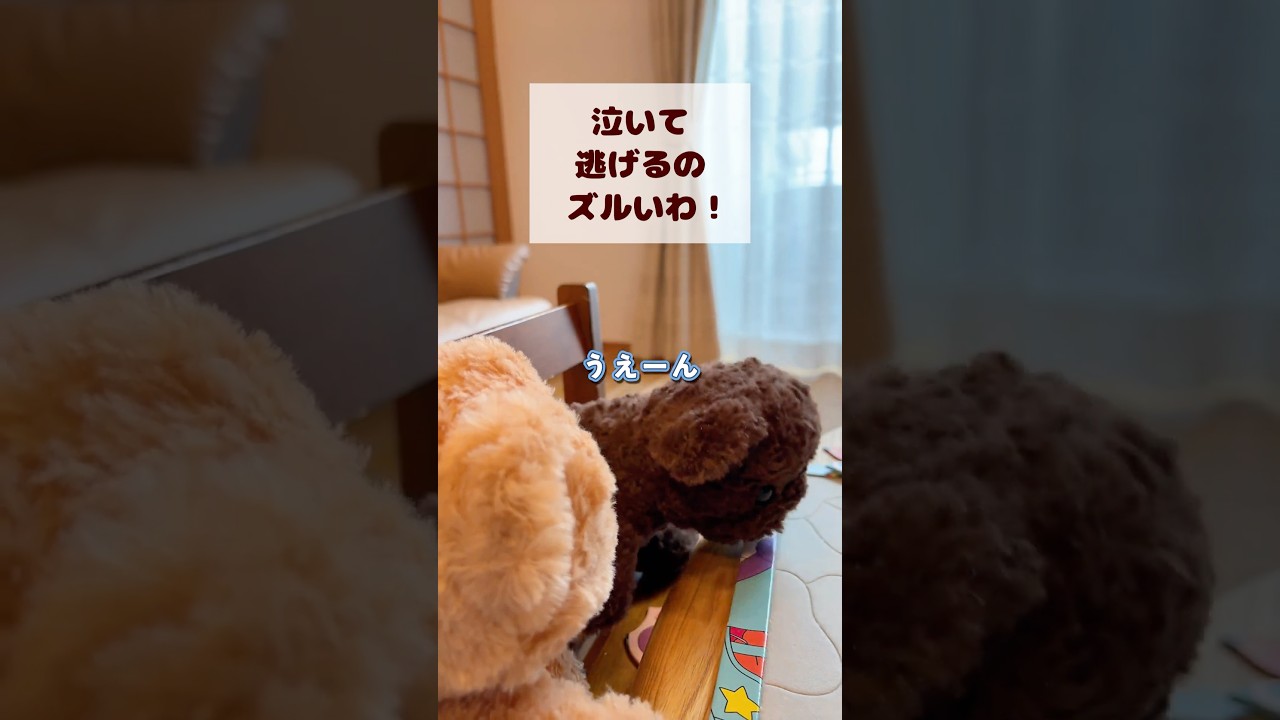 【許されると思ってんの？】泣いて逃げるのズルいわ！