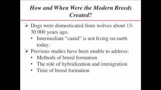 Recreating Modern Breeds