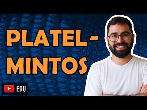 Platelmintos - Aula 10 - Módulo VI: Zoologia | Prof. Guilherme