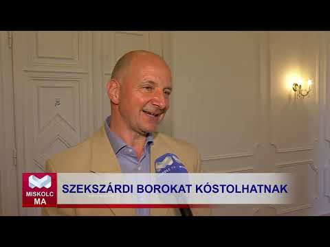 Videó előnézet