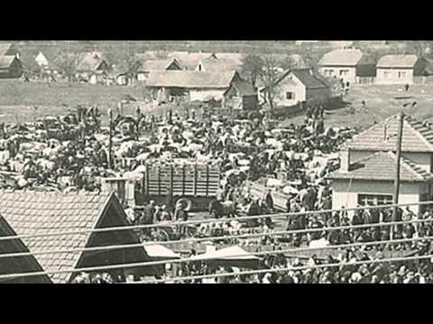 Stara Podravska Slatina - Video razglednica 20