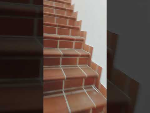 Locales y Bodegas, Alquiler, Bucaramanga - $7.300.000