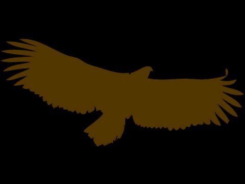 D1 - 2001 AA RNK Blue Wings - VG-62 Penguins 20150114 1 erä