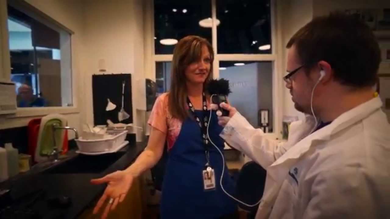 Jesse Meets a Scientist