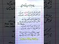 Poetry On Labour Day In Urdu Labour Day Quotes Yome Mazdoor Per Ashaar 1st May Labor Day