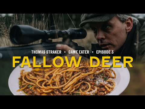 FALLOW DEER stalking & my go-to venison ragù | Game Eater
