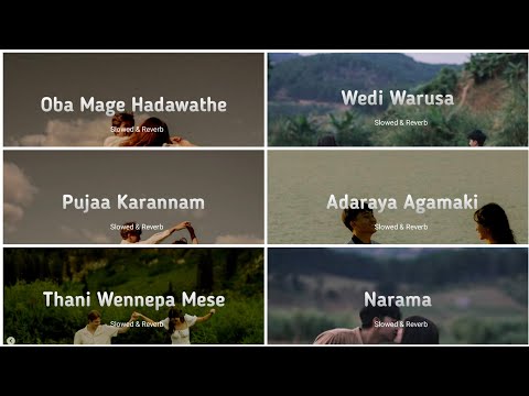 Sadun Perera | Songs Collection | Slowed & Reverb