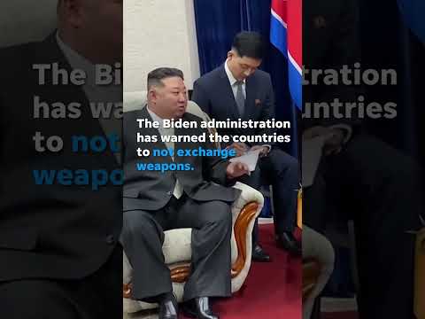 North Korean leader Kim Jong Un arrives in Russia for Putin meeting Shorts