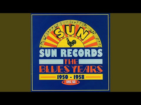 Cat Squirrel - Original